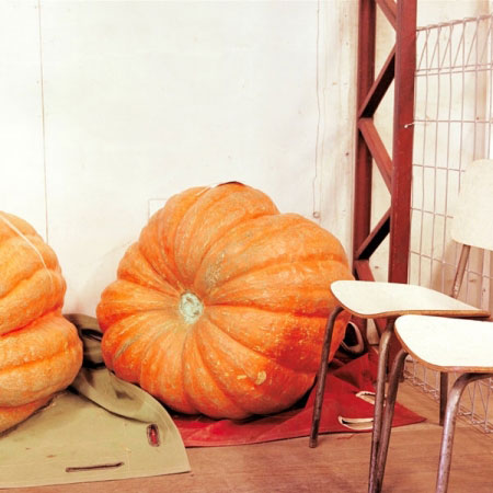 16-pumpkin