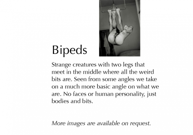bipeds-title-large-font